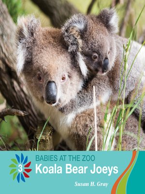 cover image of Koala Bear Joeys